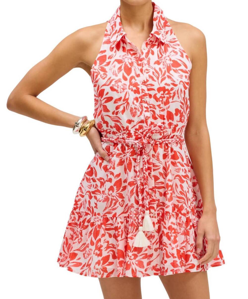 NEW ALLISON NEW YORK zoey dress in red floral